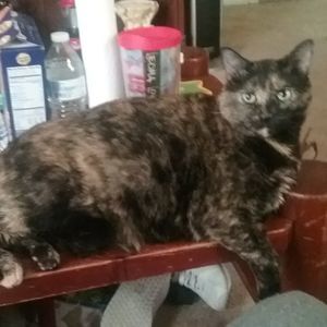 Meet your Posher, Cindy